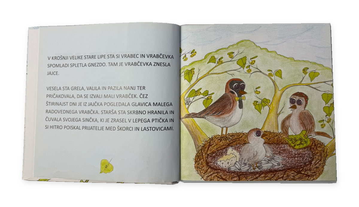 Radovedni vrabček – odprta slikanica z velikimi tiskanimi črkami in ilustracijo vrabčje družine na belem ozadju